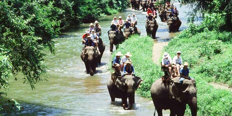 Bali Elephant Expedition