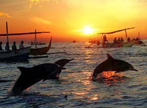 Lovina Dolphin Watching